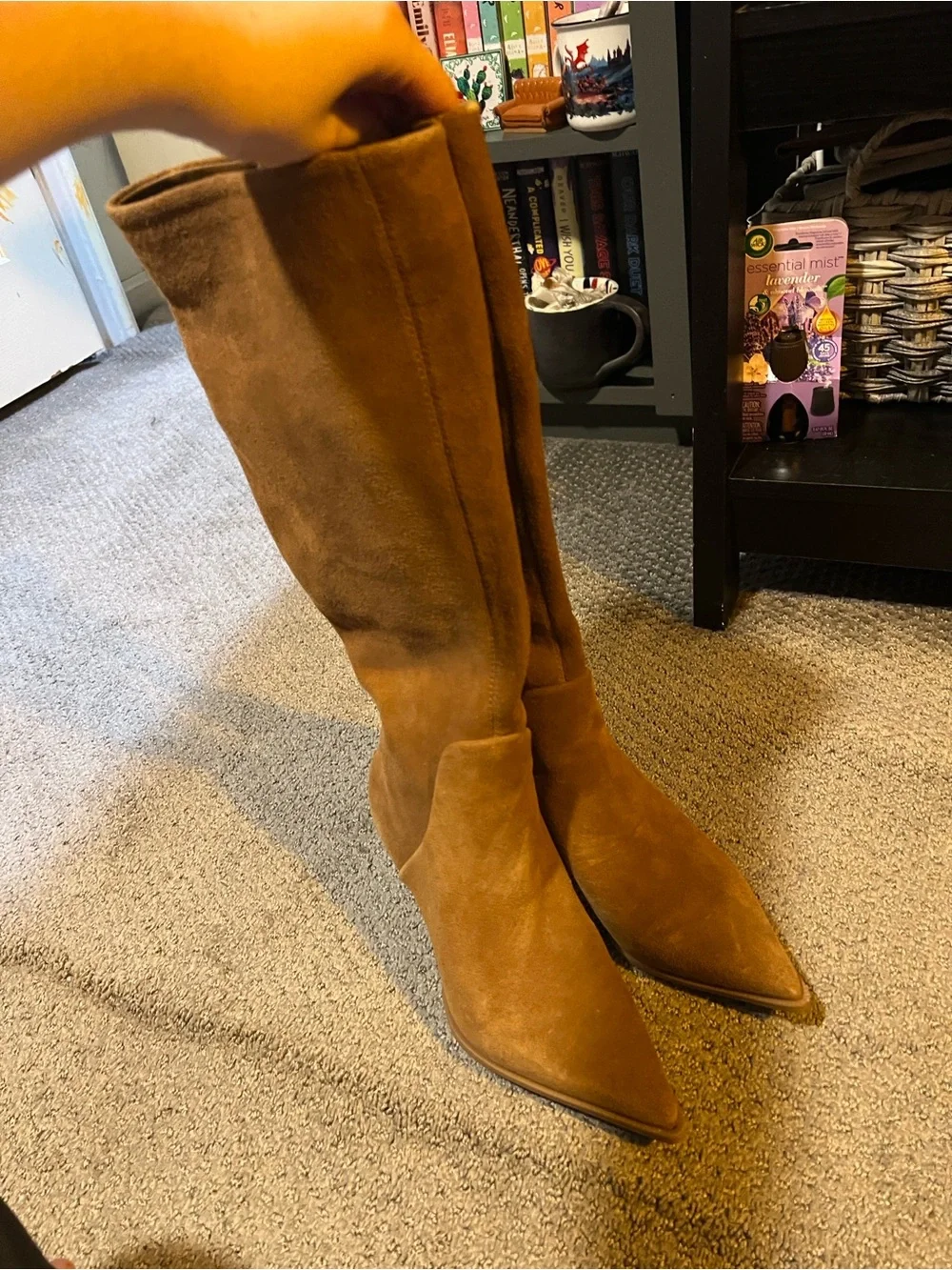 Circus by Sam Edelman Tall Pointed-Toe Suede Boots - Brown